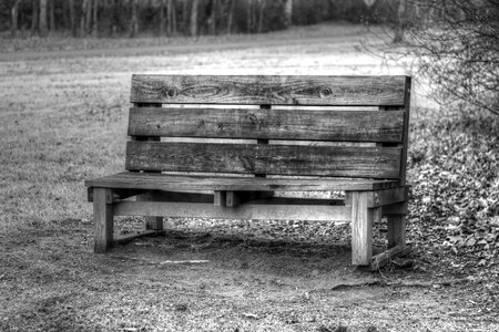 Relax sitting wooden photo