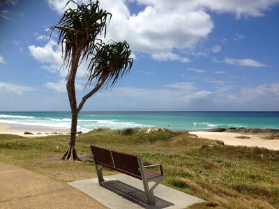 Sky sand pandanus photo