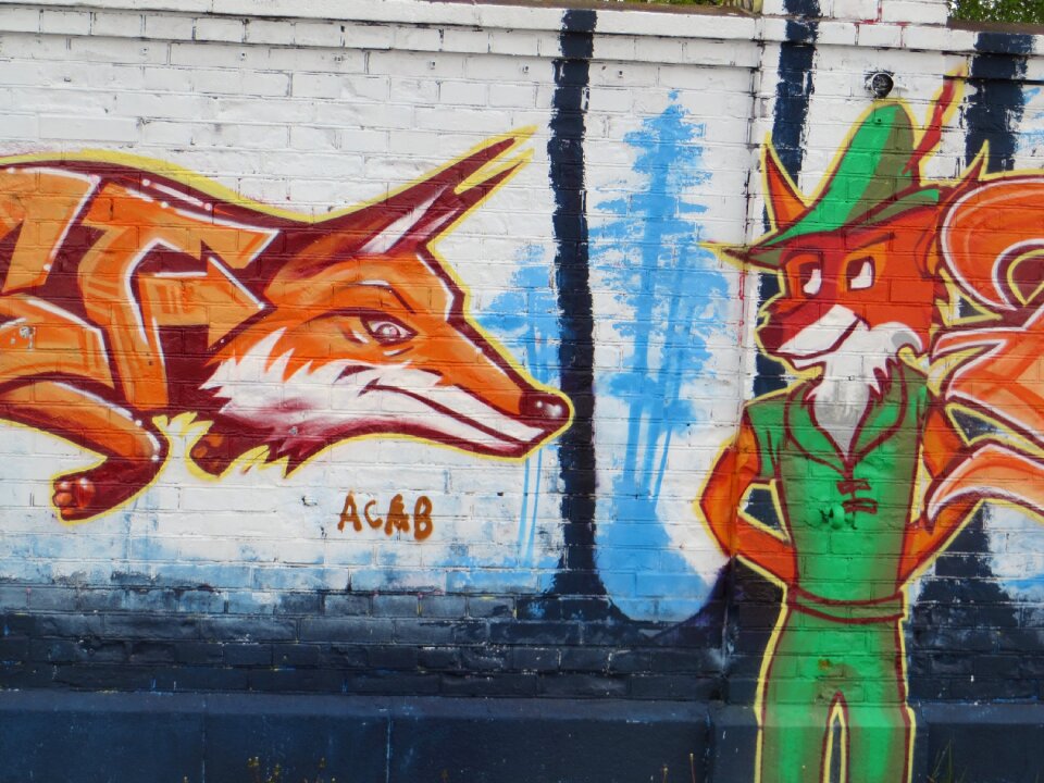 Munich graffiti fuchs