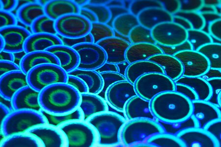 Photo paper paper hologram