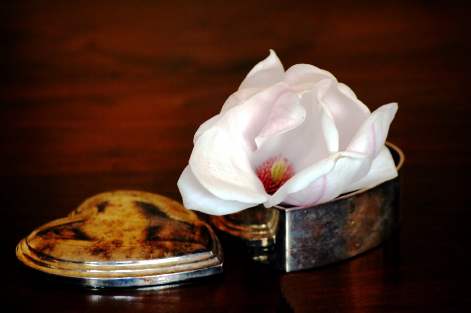 Magnolia heart patina