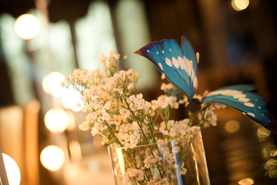 Site layout bouquet butterfly