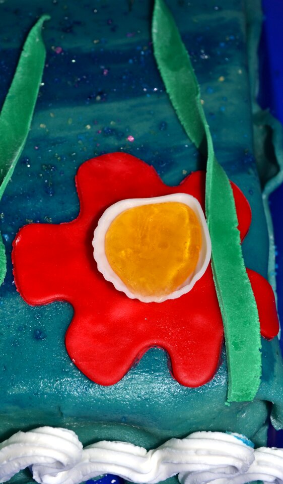 Underwater sugar decoration