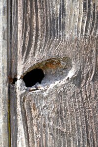 Old weathered boards