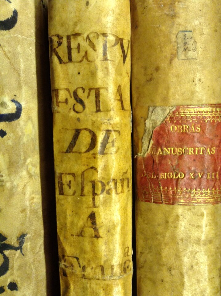 Old library parchment