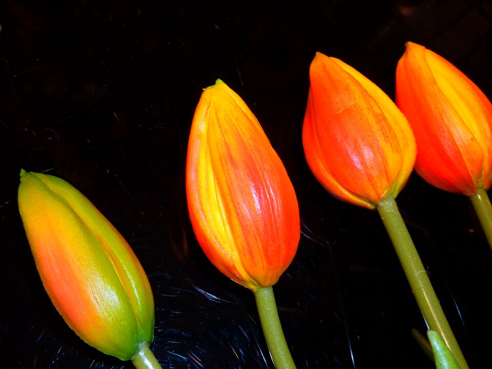 Spring garden heart