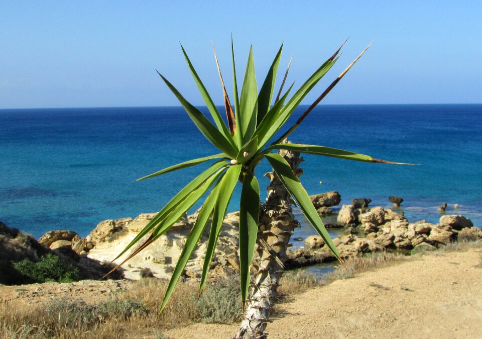 Horizon cyprus