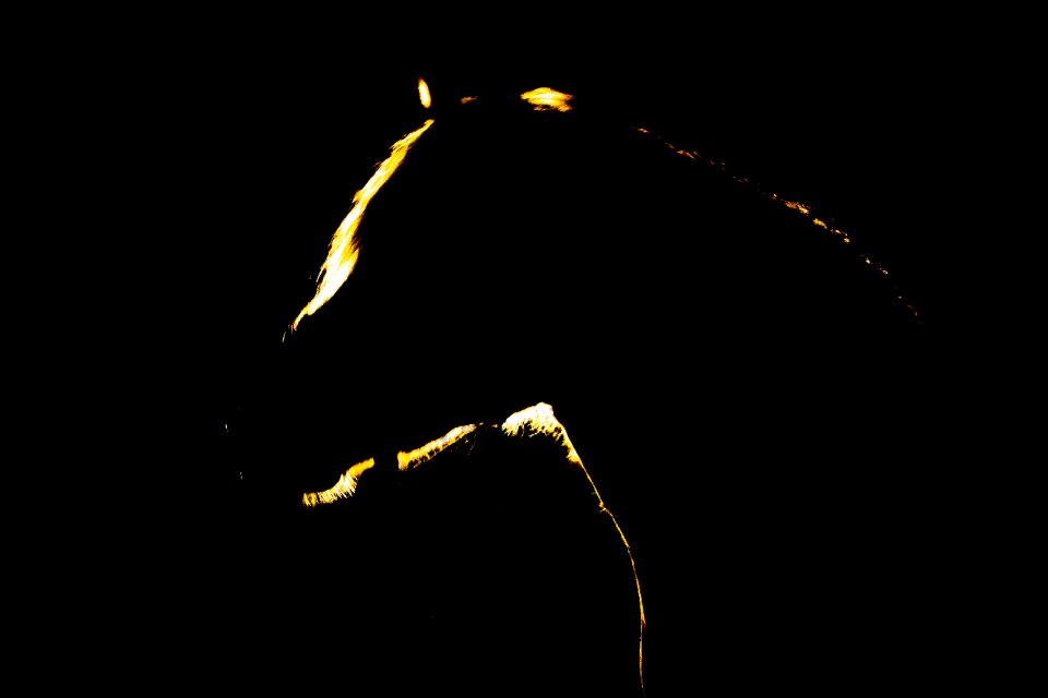 Black spooky mysterious