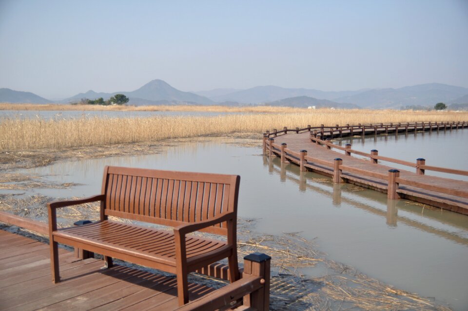Chair water