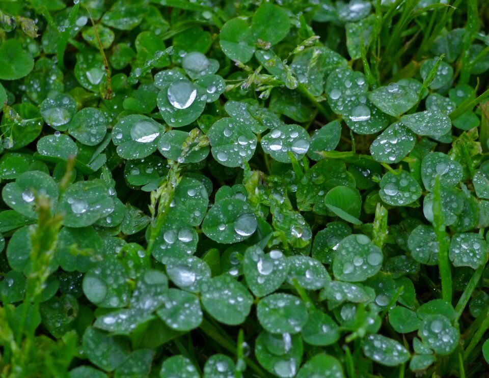 Drop drop of water shining