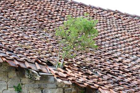 Brick lapsed natural broken roof