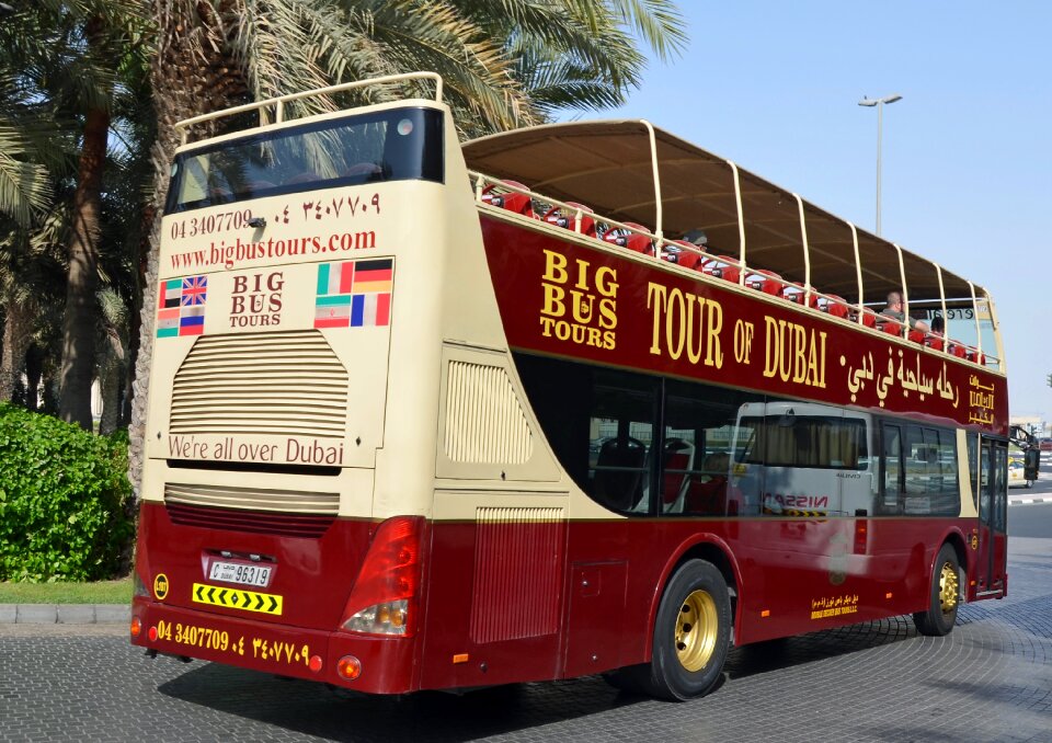 Palm trees shuttle bus traffic