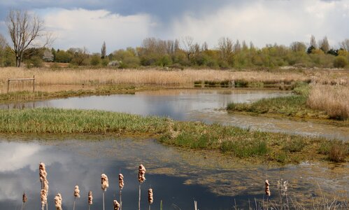 Nature reserve landscape england