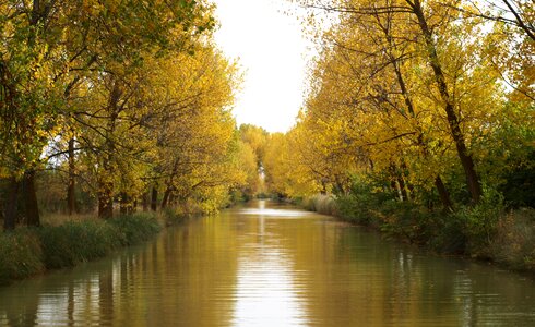 Channel canal de castilla autumn