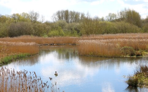 Nature reserve landscape england