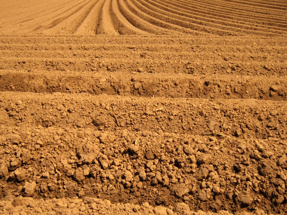 Agriculture nature fields