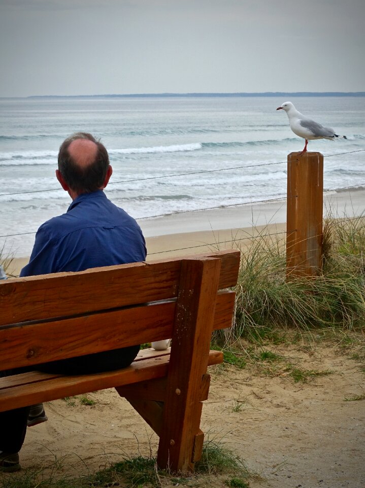 Tranquil looking beach