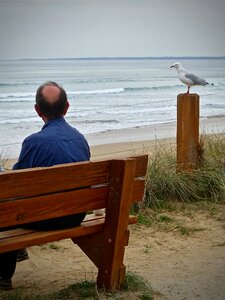 Tranquil looking beach