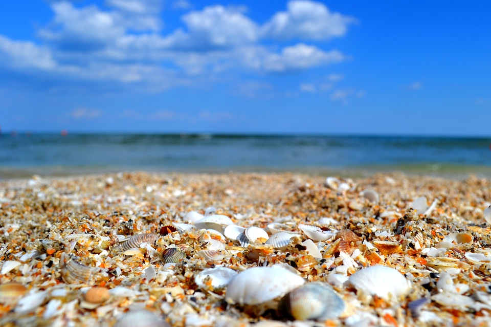 Ocean nature beach