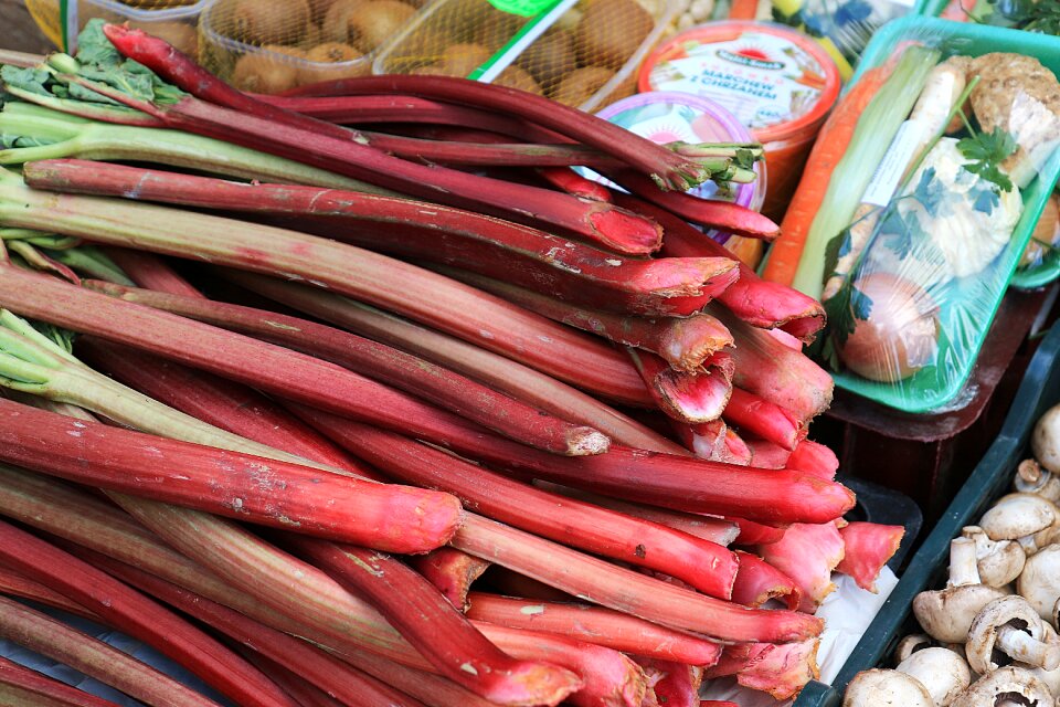 Fruit vegetables called rothmans