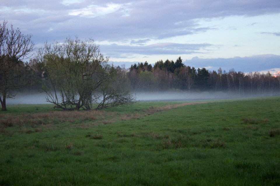 Landscape abendstimmung nature reserve