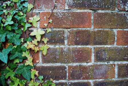 Brick wall red idea