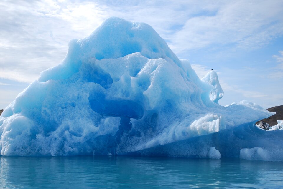 Glacier ice bird photo