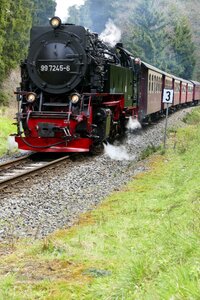 Forest steam loco photo