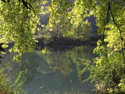 Nature water courses reflections