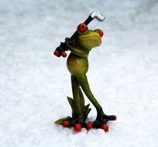 Green frog funny cute