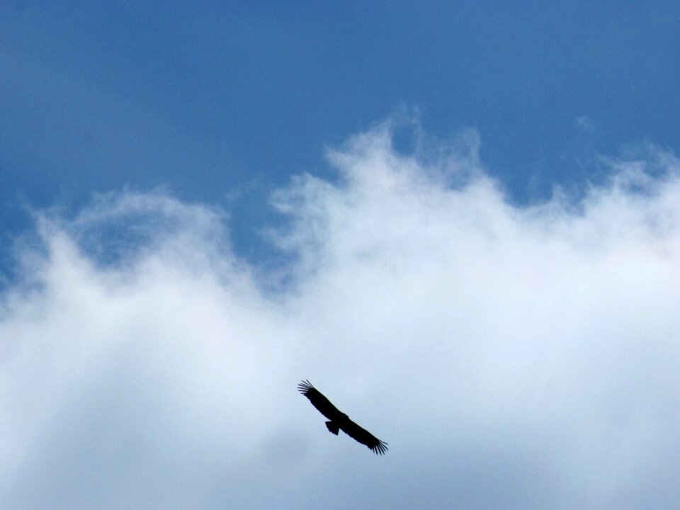 Clouds sky flight