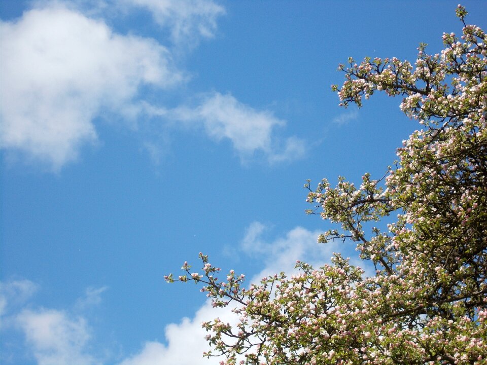 The sky blue nature