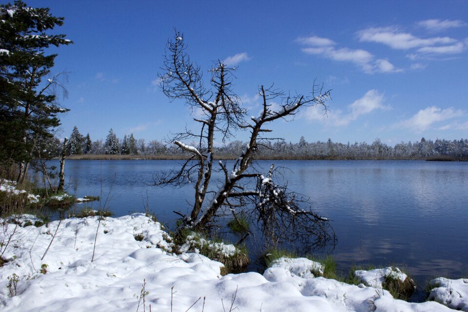 Waters nature reserve marsh
