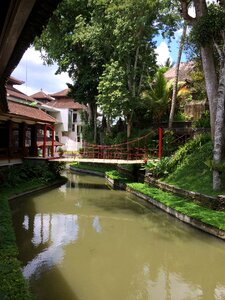 Ubud travel peaceful