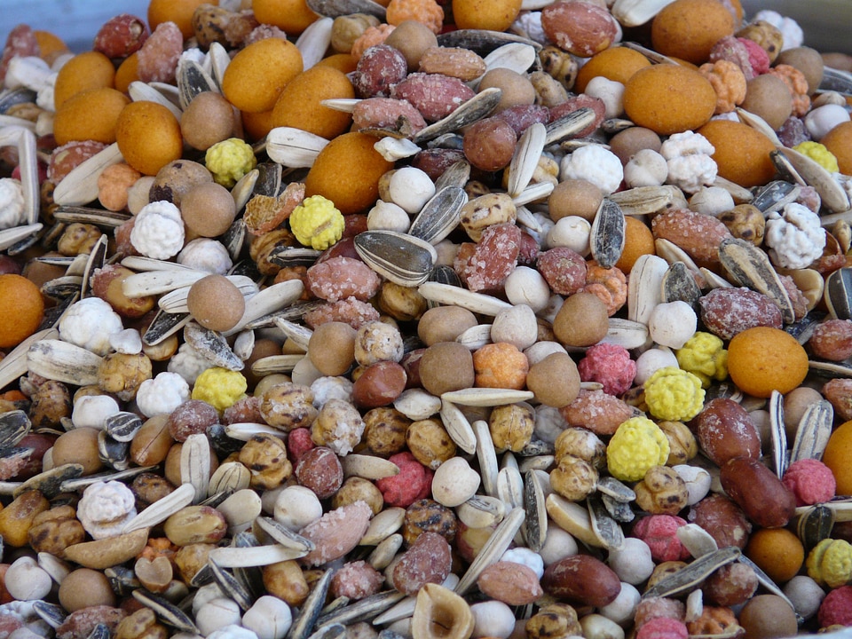 Nut mix sunflower seeds snack