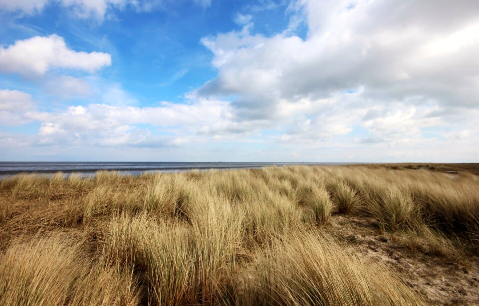 Sea beach sky photo