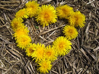 Valentine's day rural straw