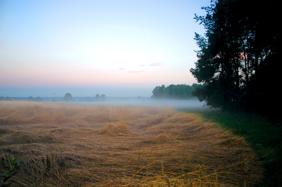 Landscape view nature