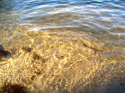 Beach spray wave