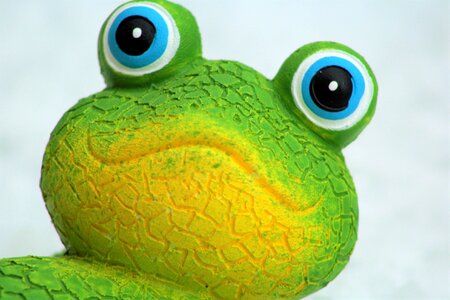 Animal figure funny