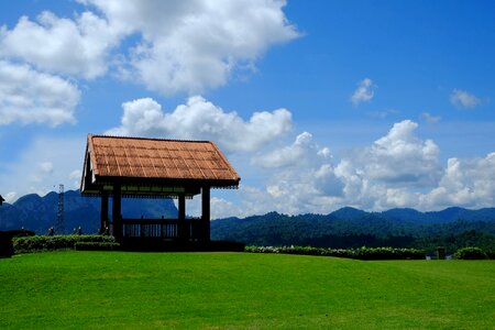 Green grass outdoor travel