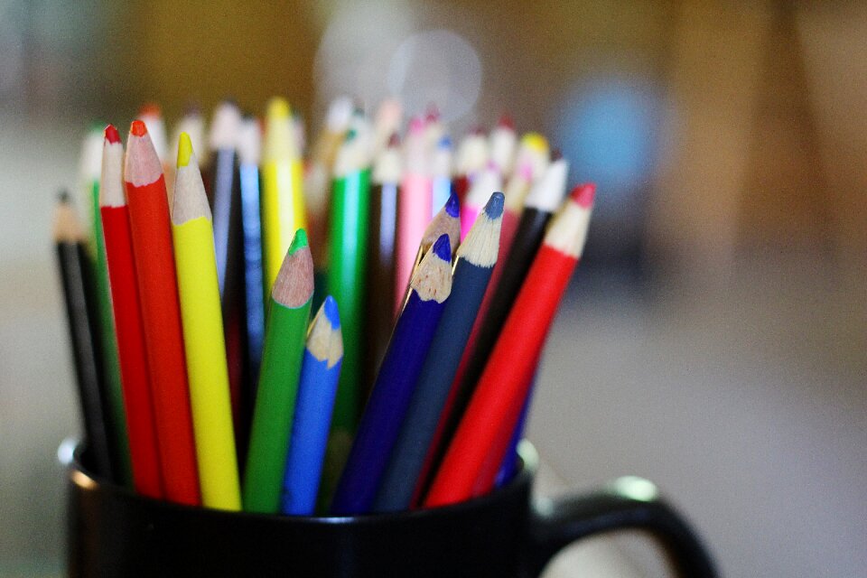 Education school draw