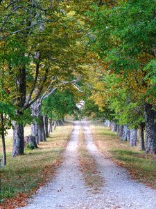 Mood nature autumn