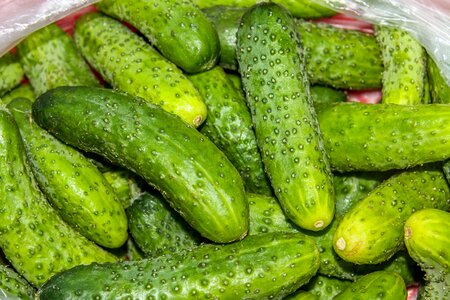 Vegetables eating green
