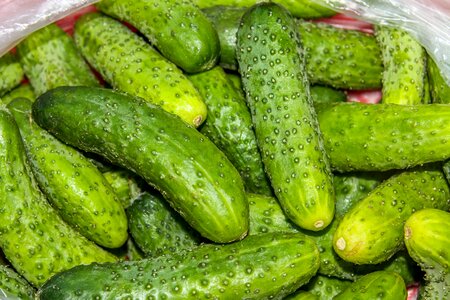 Vegetables eating green photo