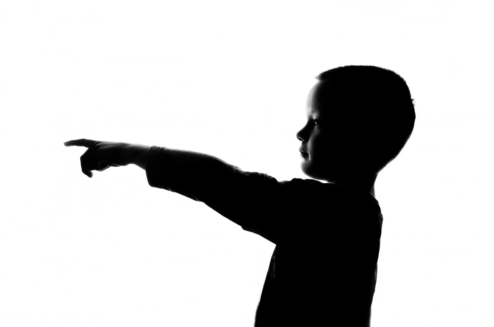 Face shadow pointing