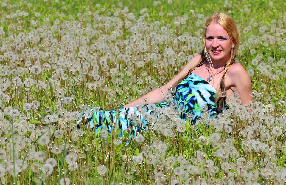 Dandelion field lie