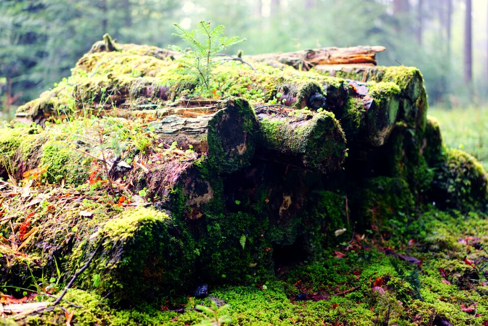 Bark fouling weave