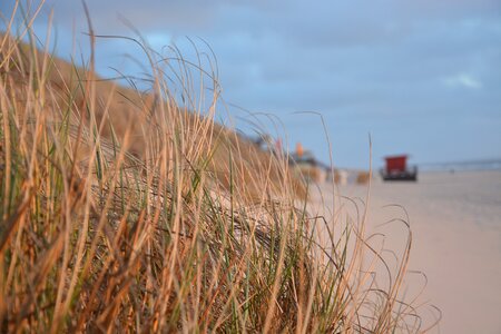 Beach abendstimmung sea