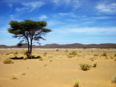 Landscape sahara silence photo